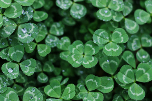 YOUTH GROUP LESSON ON ST. PATRICK'S DAY
