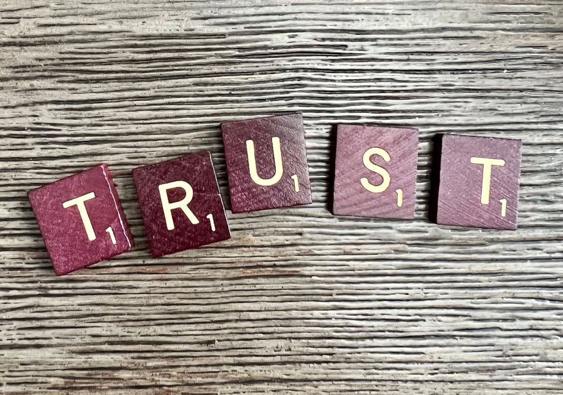 YOUTH GROUP LESSON ON TRUST