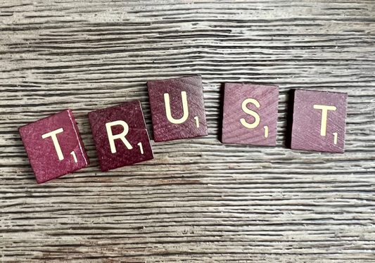 YOUTH GROUP LESSON ON TRUST